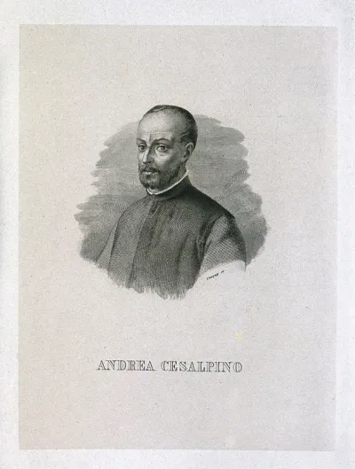 Andrea Cesalpino