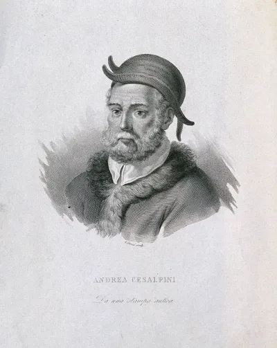Andrea Cesalpino