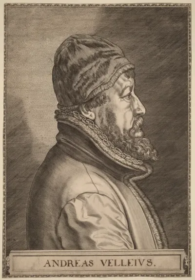 Andreas Velleius (Anders Sorensen Vedel)