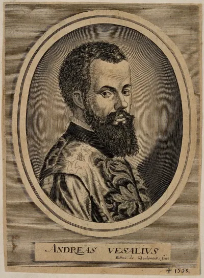 Andreas Vesalius