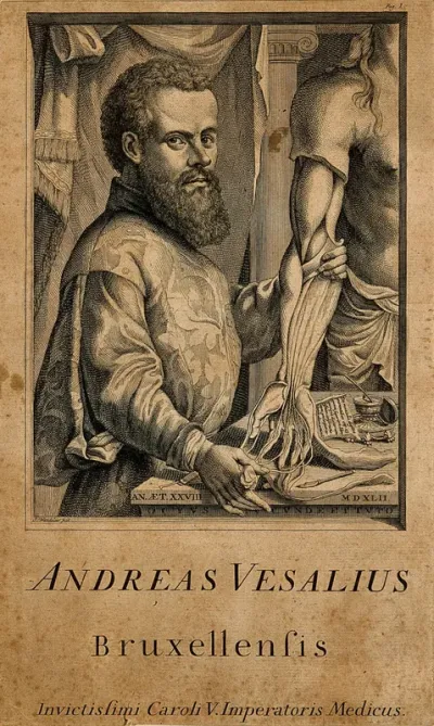 Andreas Vesalius