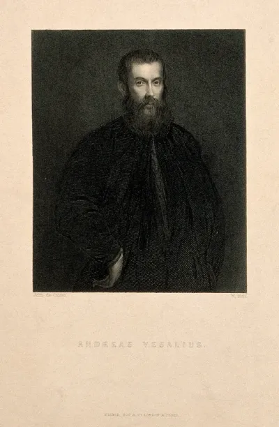 Andreas Vesalius