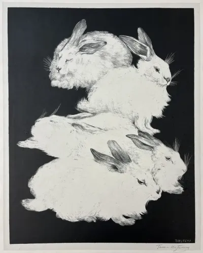 Angora Rabbits, plate two from Animal Studies
