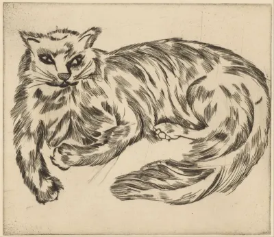 Angorakat