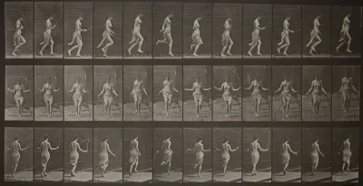 Animal Locomotion, Plate 174
