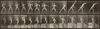 Animal Locomotion, Plate 319