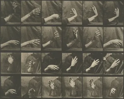 Animal Locomotion, Plate 535