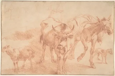 Animal Studies