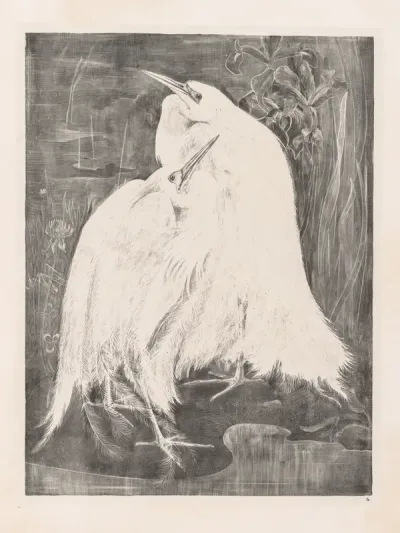 Animal Studies: Two Silver Herons