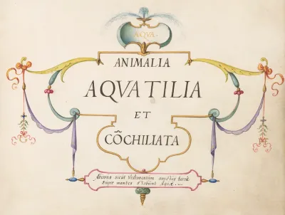 Animalia Aqvatilia et Cochiliata (Aqva): Title Page