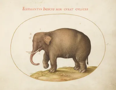 Animalia Qvadrvpedia et Reptilia (Terra): Plate I