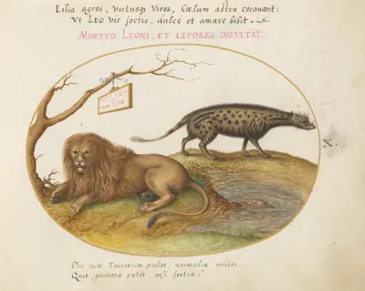 Animalia Qvadrvpedia et Reptilia (Terra): Plate X