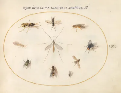 Animalia Rationalia et Insecta (Ignis):  Plate LX