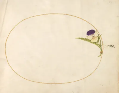 Animalia Rationalia et Insecta (Ignis):  Plate LXXX