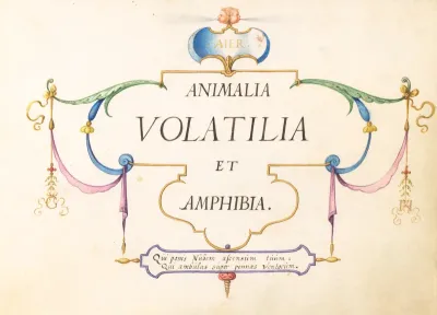 Animalia Volatilia et Amphibia (Aier):  Title Page