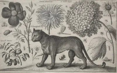Animals and Plants: Leopard with Plants and Insects