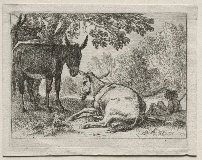 Animals in Landscapes: Donkeys