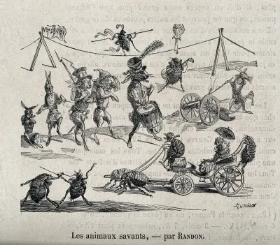 Animals, including fleas, performing various human activities