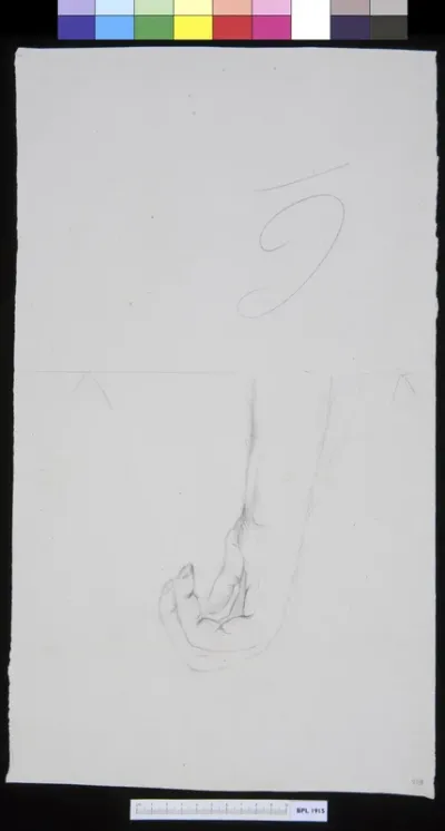 Animals: Orangutan's arm (verso: sketch of orangutan)