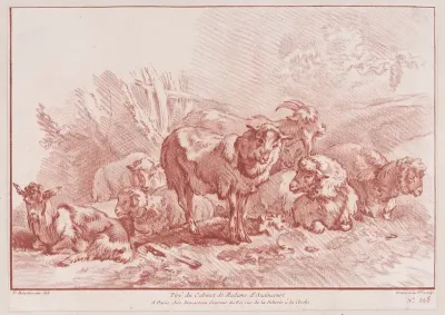 Animaux