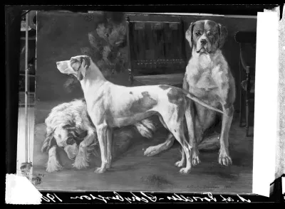 Anna af Forselles-Schybergson: "Koiria" vuodelta 1904