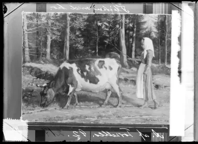 Anna af Forselles-Schybergson: "Tyttö paimenessa" vuodelta 1892