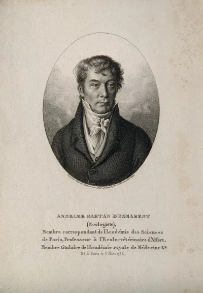 Anselme-Gaetan Desmarest