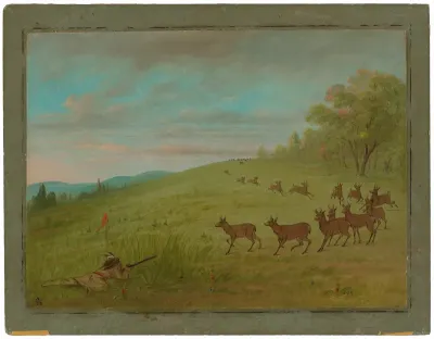 Antelope Shooting - Assinneboine