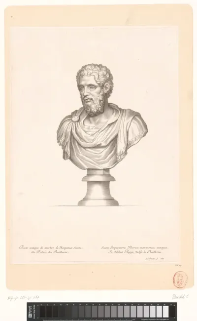 Antieke buste van Severus