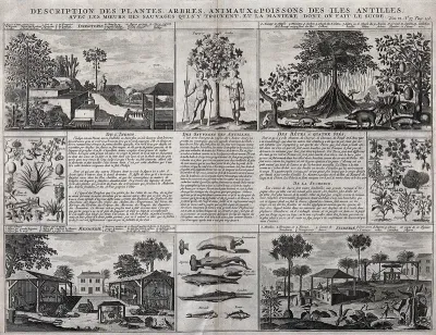 Antilles islands: plants, trees, animals, agriculture, and customs of the people