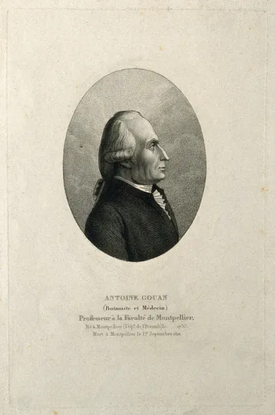 Antoine Gouan. Stipple engraving by A. Tardieu