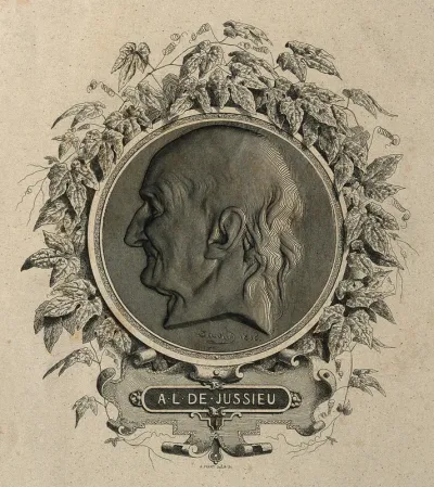 Antoine Laurent de Jussieu
