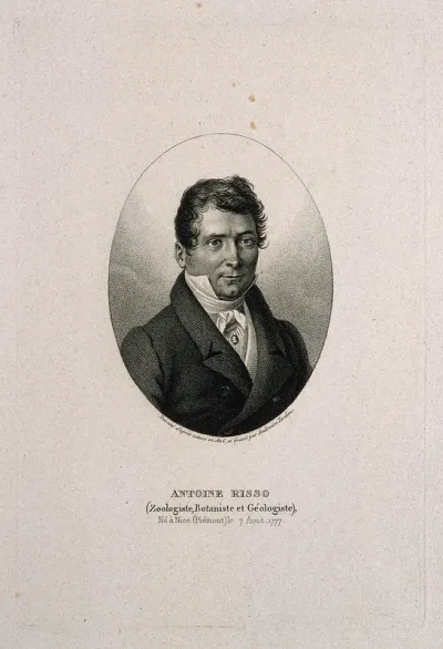 Antoine Risso. Stipple engraving by A. Tardieu after himself, 1826