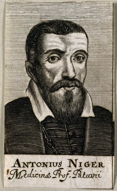 Antonius Niger. Line engraving, 1688