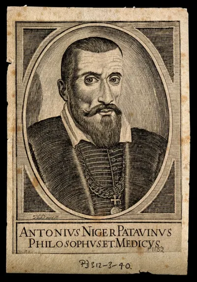 Antonius Niger. Line engraving by H. David, 1630