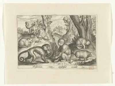Apen, katten en muizen