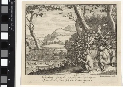 Apen vangen vogels