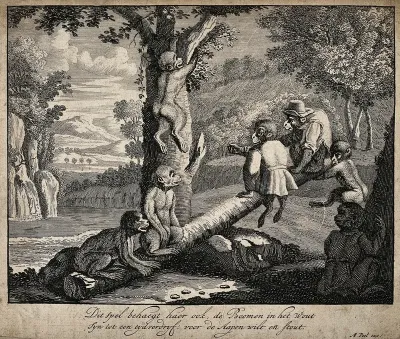 Apes, some in clothes, sitting below a forest tree and using a log as a see-saw
