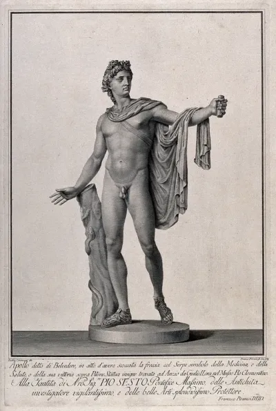 Apollo: the Apollo Belvedere
