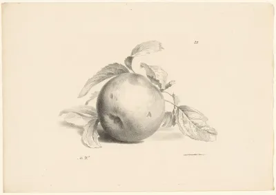 Appel