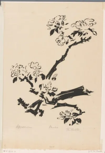 Appelbloesem
