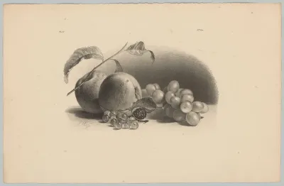 Appels, bessen, braam en druiven