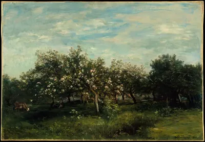 Apple Blossoms