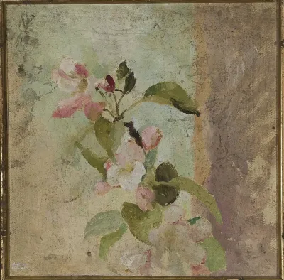 Apple blossoms