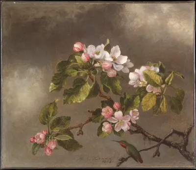 Apple Blossoms and a Hummingbird