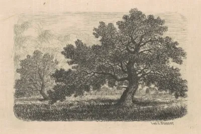 Apple Trees