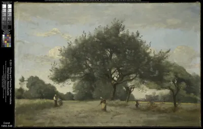 Apple Trees in a Field