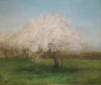 Apple Trees in a Meadow