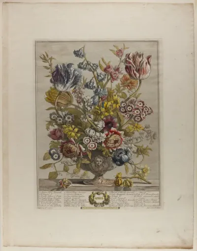 April, from Twelve Months of Flowers