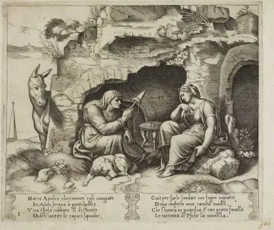 Apuleius Changed into a Donkey